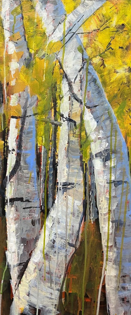 Birch Trees by Leah Kohlenberg