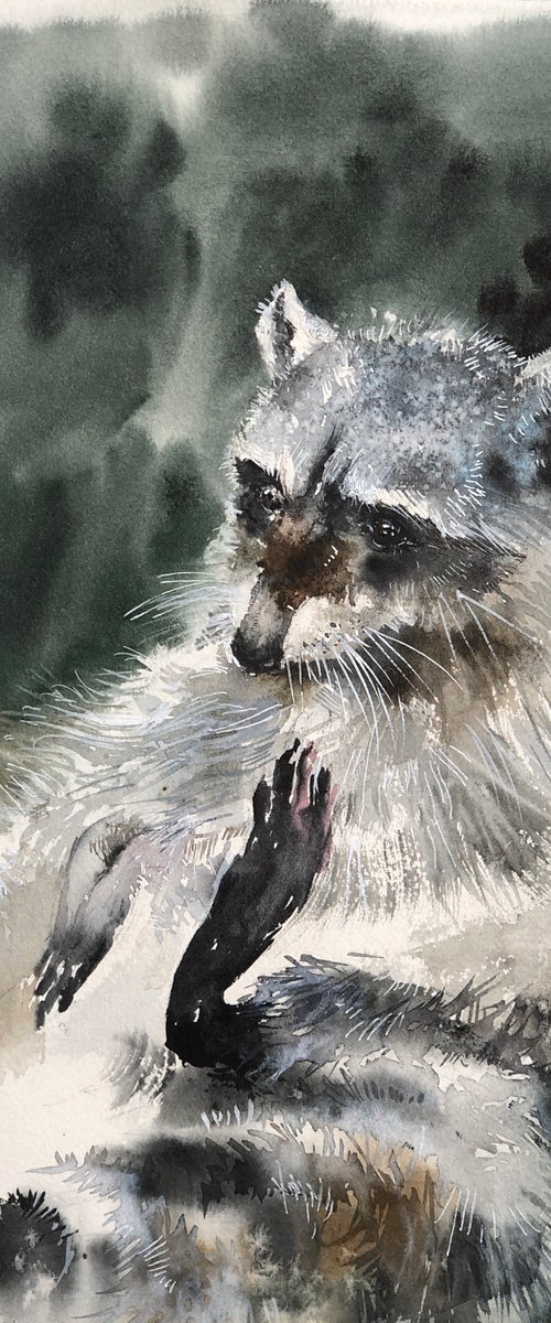 Raccoon by Larissa Rogacheva