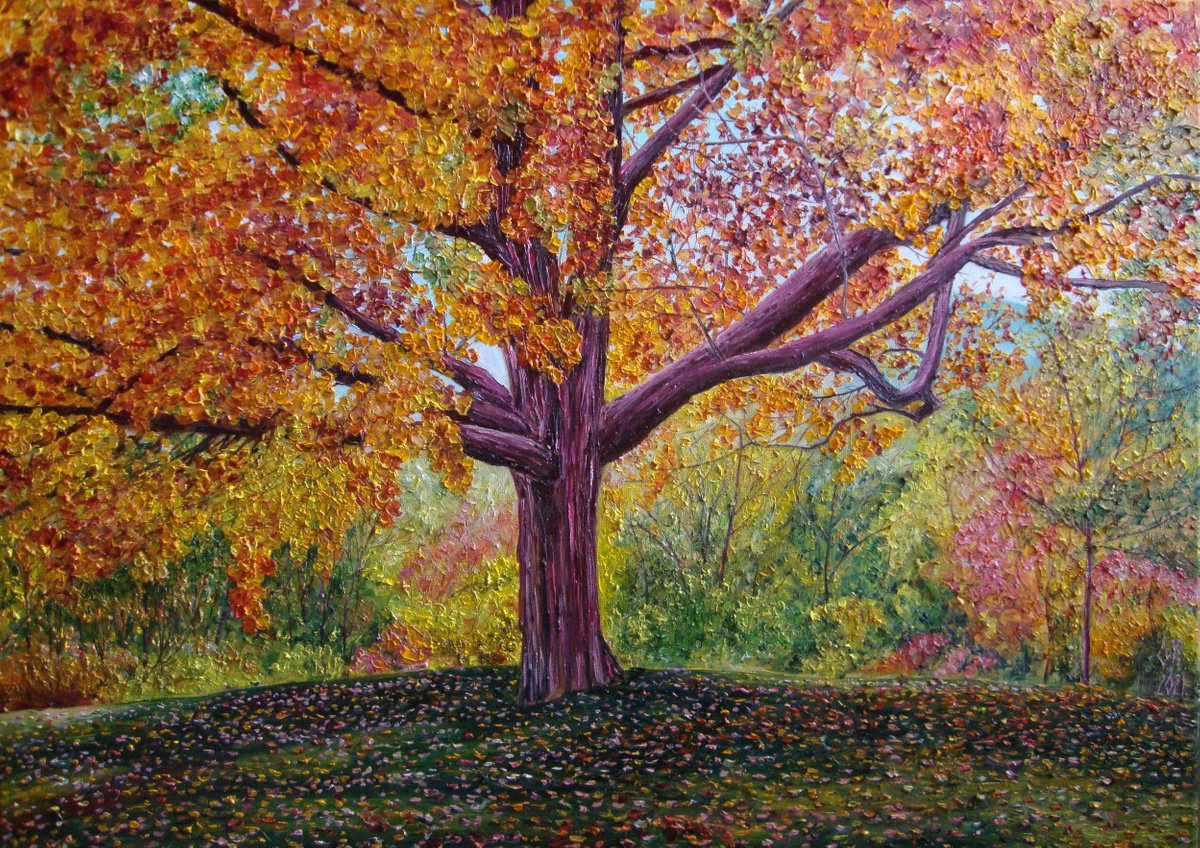 All colours of autumn by Olga Knezevic