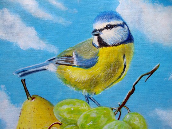 My blue tit is still at the top