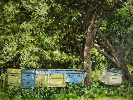 Summer Painting Green Orchard