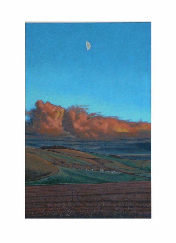 EVENING SUN MARLBOROUGH DOWNS