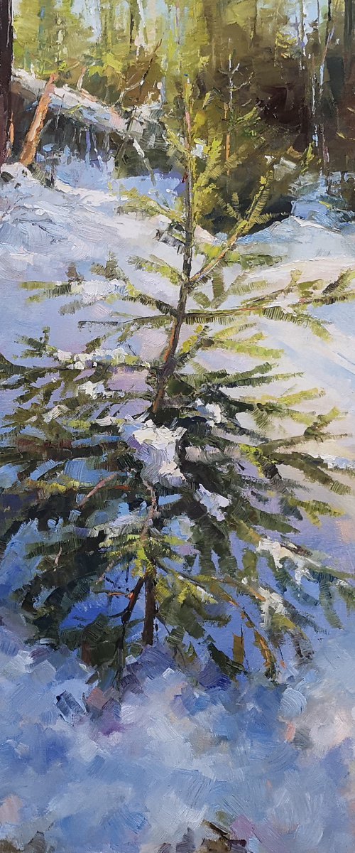 ."Winter beauty", original,one of a kind, oil on canvas painting (18x24") by Alexander Koltakov