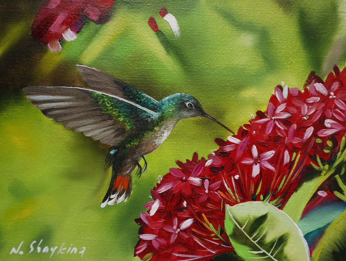Hummingbird And Red Blossoms By Natalia Shaykina, 9 X 7, Artwork For Sale On Artfinder