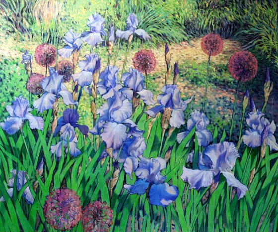 Irises dancing in the sun