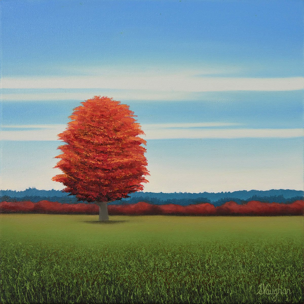 Red Tree - Fall Landscape By Suzanne Vaughan, 12 X 12, Artwork For Sale On Artfinder