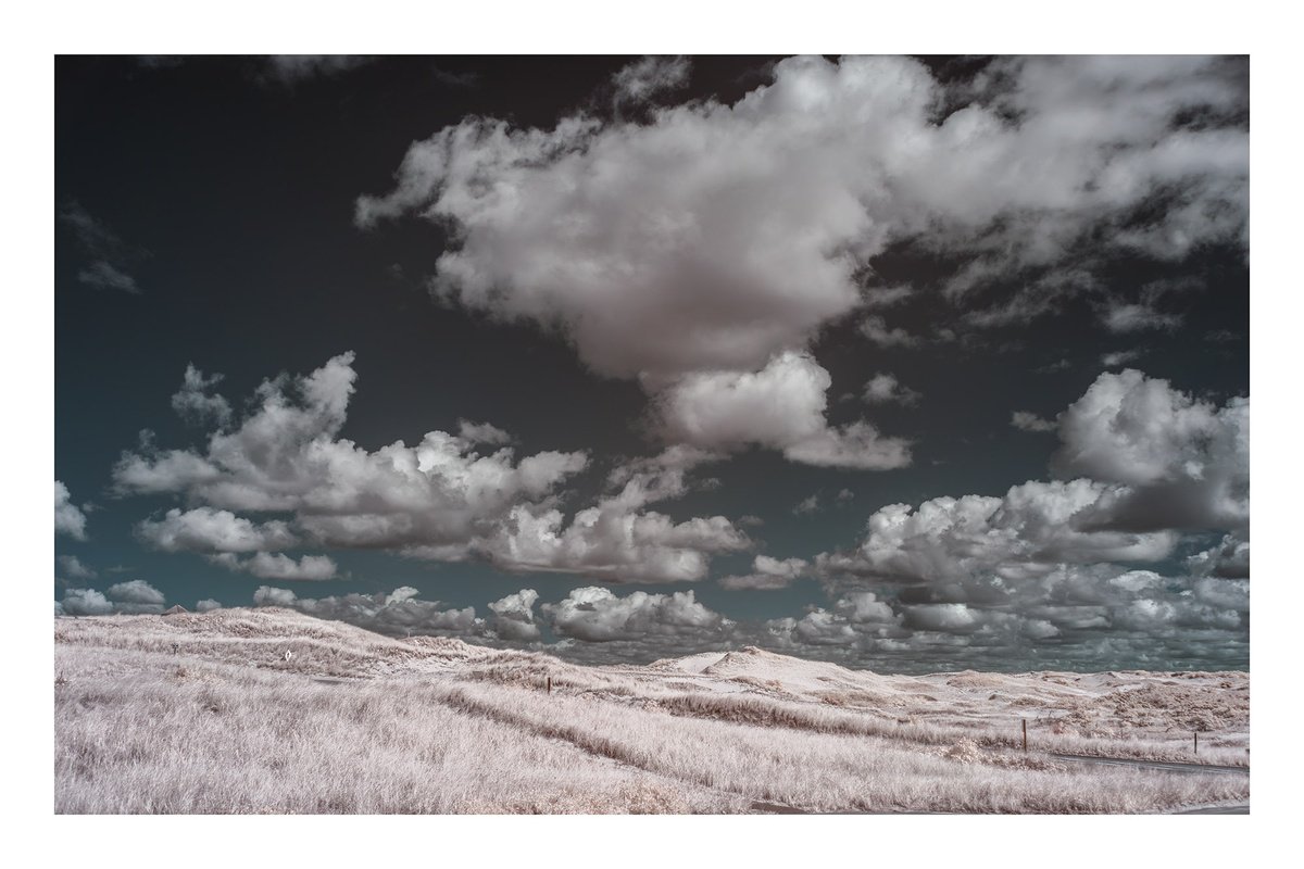 Photorealistic Landscape Photograph By Brooke T Ryan, 48 X 32, Provincelands - 48 X 32, Original Artwork