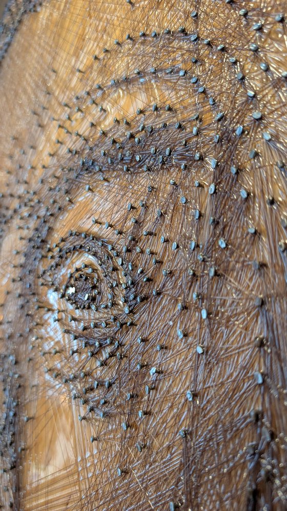 The Philosopher’s Wink