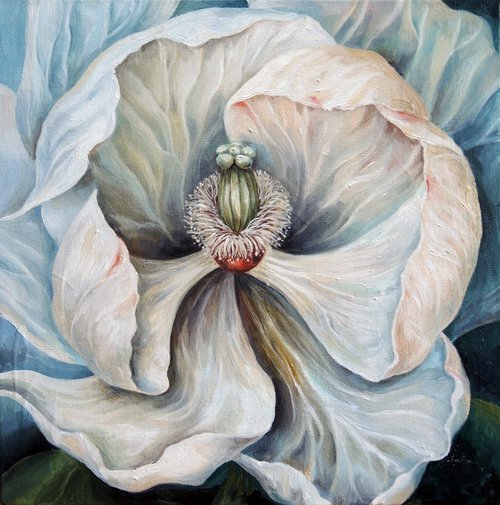 White flower. by Albina Bunina