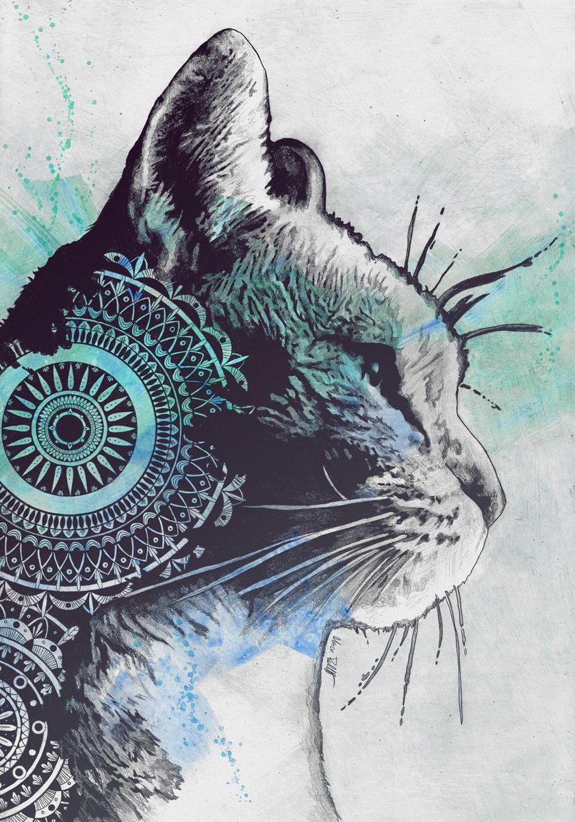 Tides Of Tomorrow: Turquoise | mandala cat drawing | realistic animal pencil portrait by Marco Paludet