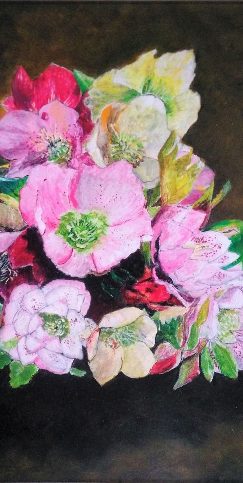 Flowers Christmas roses by Isabelle Lucas