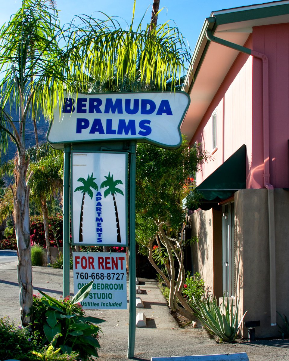 Impressionistic Cityscapes Photograph By William Dey, 18 X 22", Beyond The Bermuda Palms Palm Springs Ca, Original Artwork