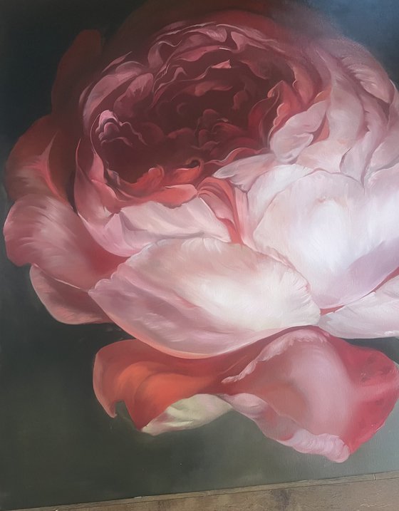 Old Holland flower 12
