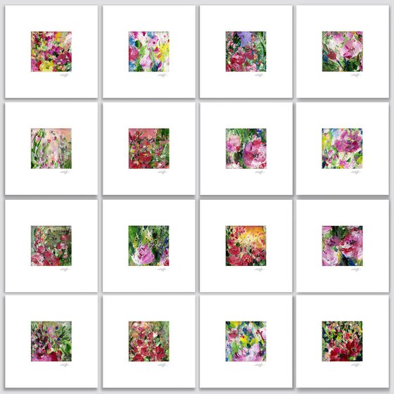 Meadow Dreams Collection 1