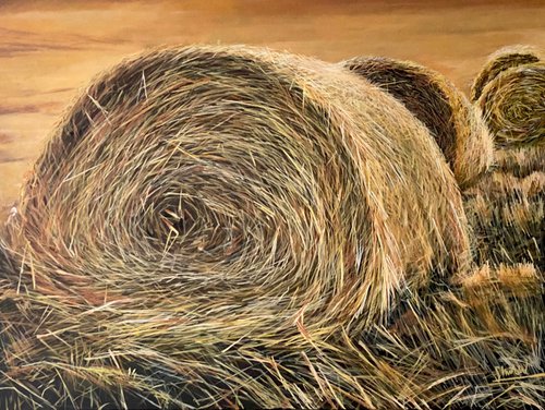 Hay Bales by Suzana Bulatovic