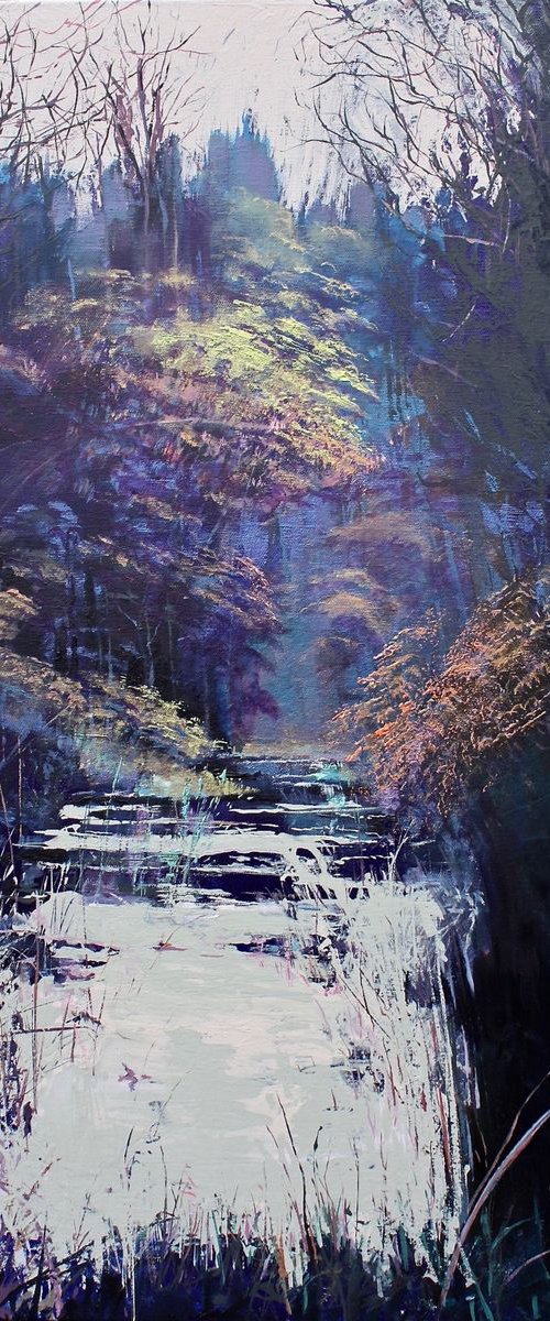 Ironbridge Gorge by Simon Jones