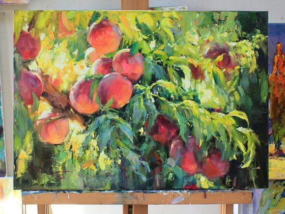 Peaches on the tree