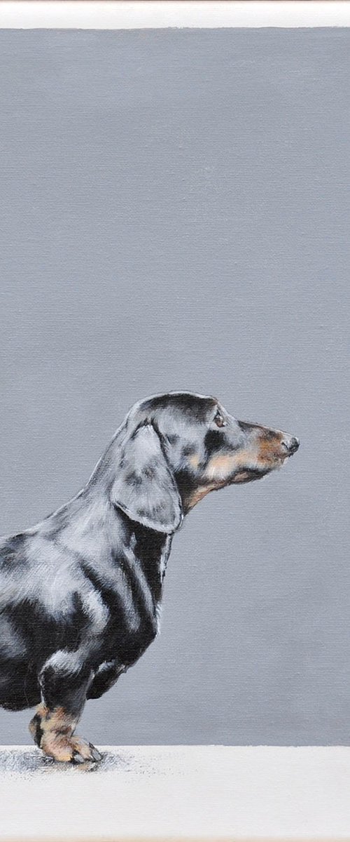 Sausage by Vicky Palmer