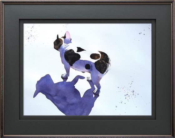 Black White Dog French Bulldog