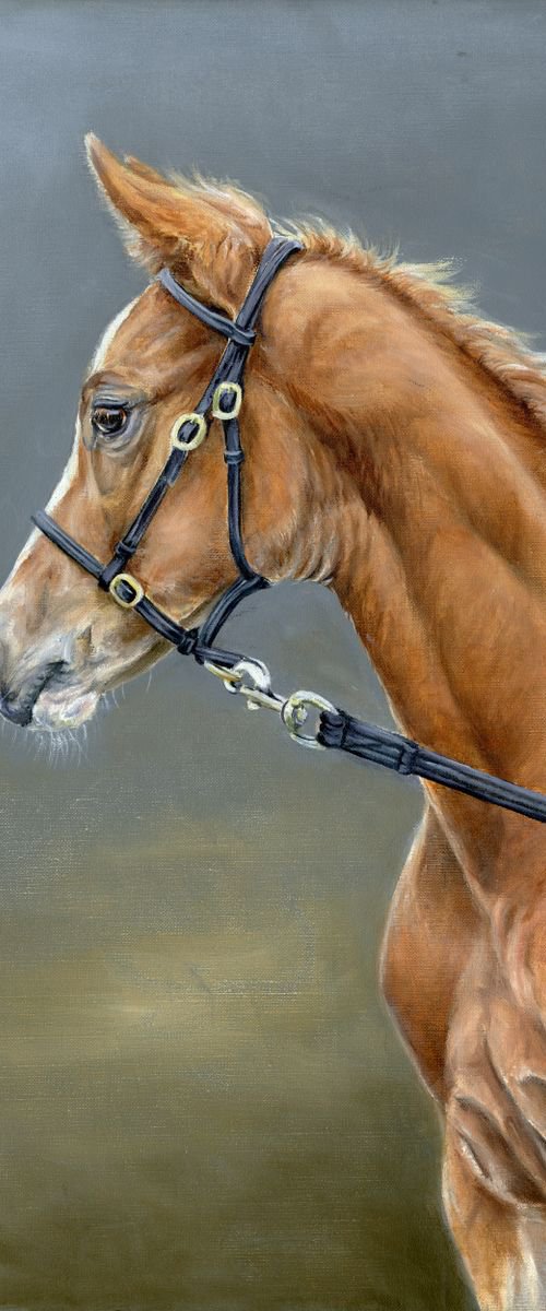 Hold the Foal by Una Hurst