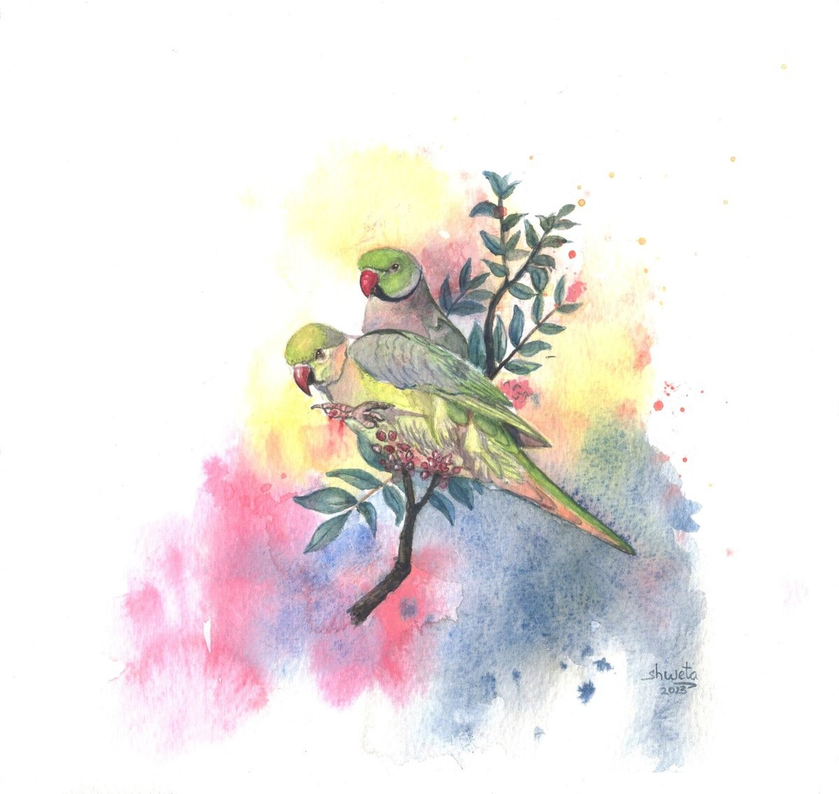 Ringneck parrots watercolor painting by Shweta  Mahajan