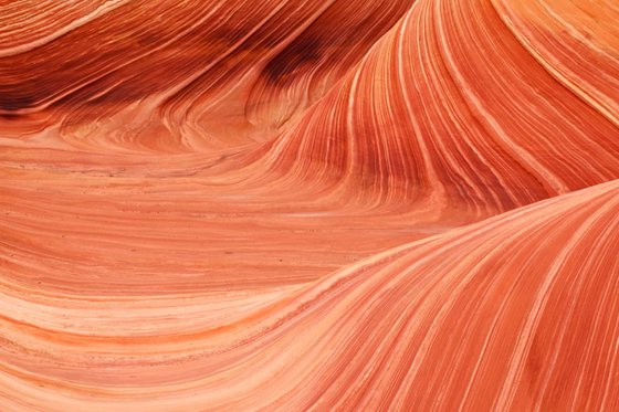 The Wave in the Coyote Buttes