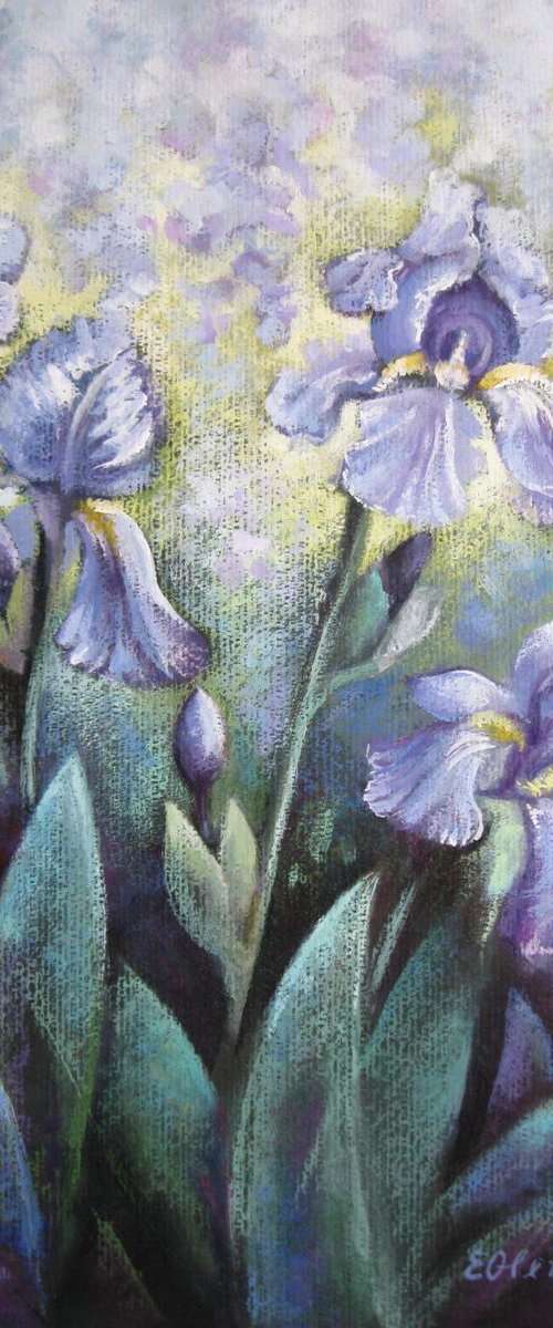 Irises in the garden - floral art by Elena Oleniuc