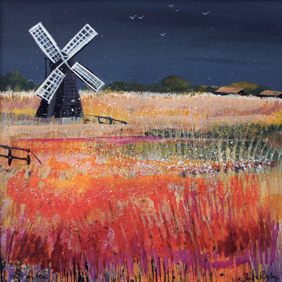 Wicken Fen - Storm Sky