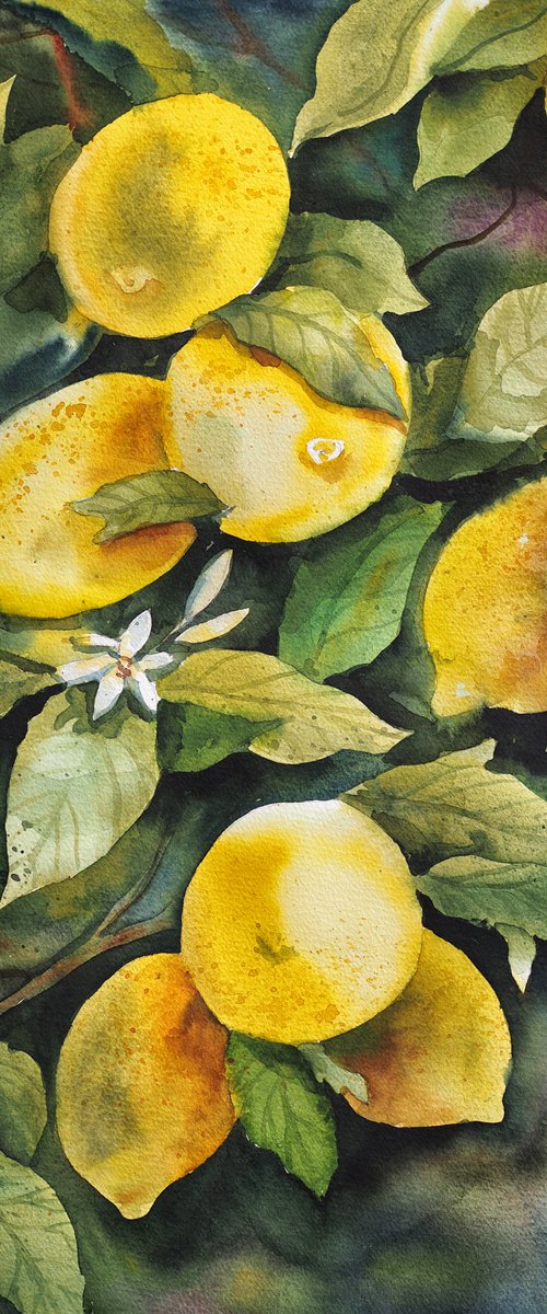 LEMON TREE - original watercolor painting - sunny yellow and green color - Valentine day gifts - Gifts for him - Gift for her by Delnara El