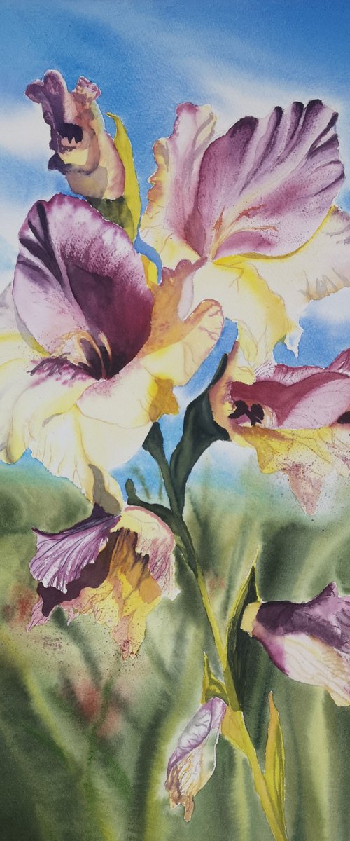 Zurich Flower by Aneta Gajos