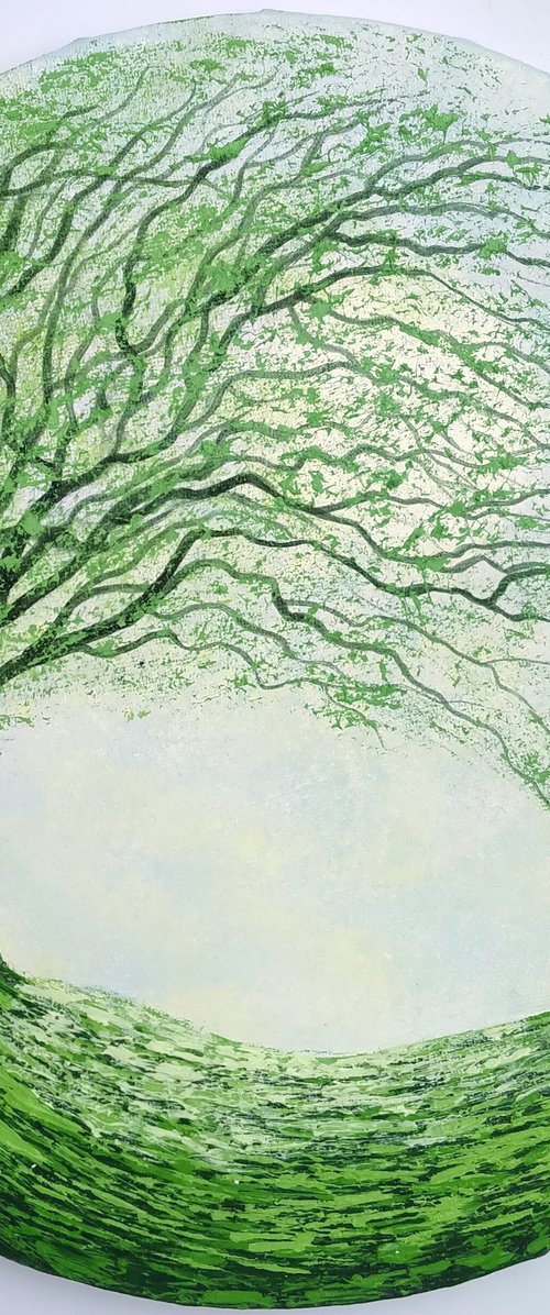 The Windward Tree by Amanda Horvath