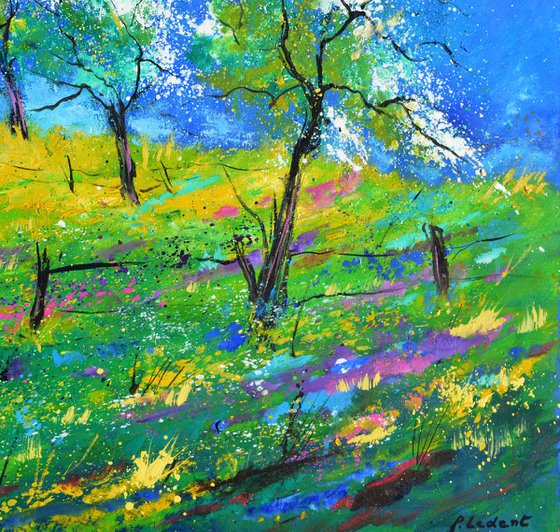 Orchard in spring