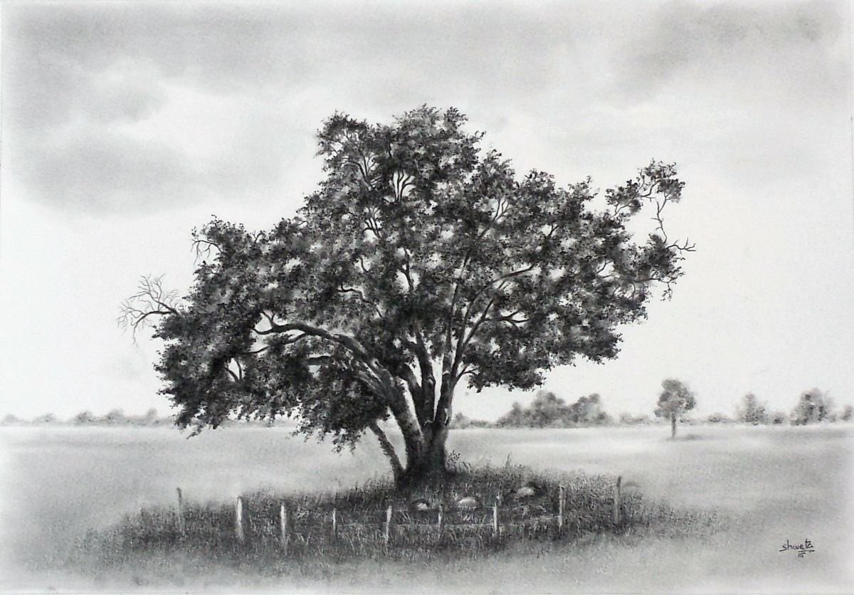 English Oak by Shweta Mahajan