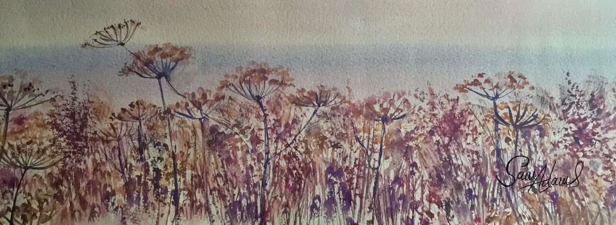 Chesil seed heads by Samantha Adams professional watercolorist