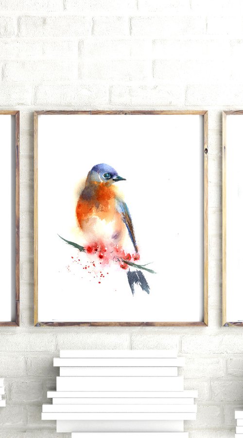 Set of 3 Bluebirds (7"x10") by Olga Tchefranov (Shefranov)