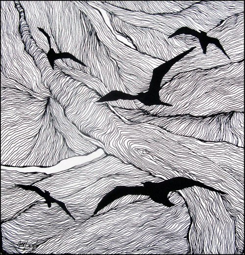 birds in flight by Anna Maria
