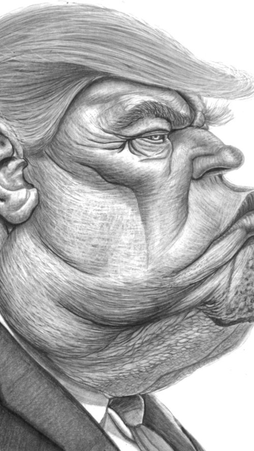 Donald J Trump by Paul Stowe