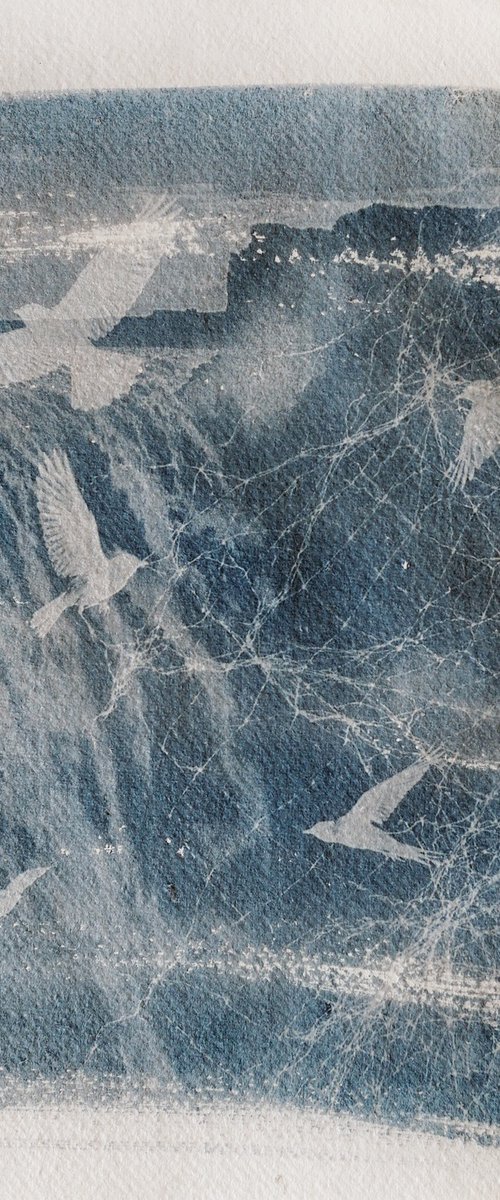 Entangled Landscapes / cyanotype print by Delnara El