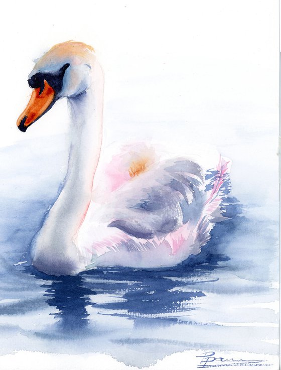Swan #1  -  Original Watercolor Painting