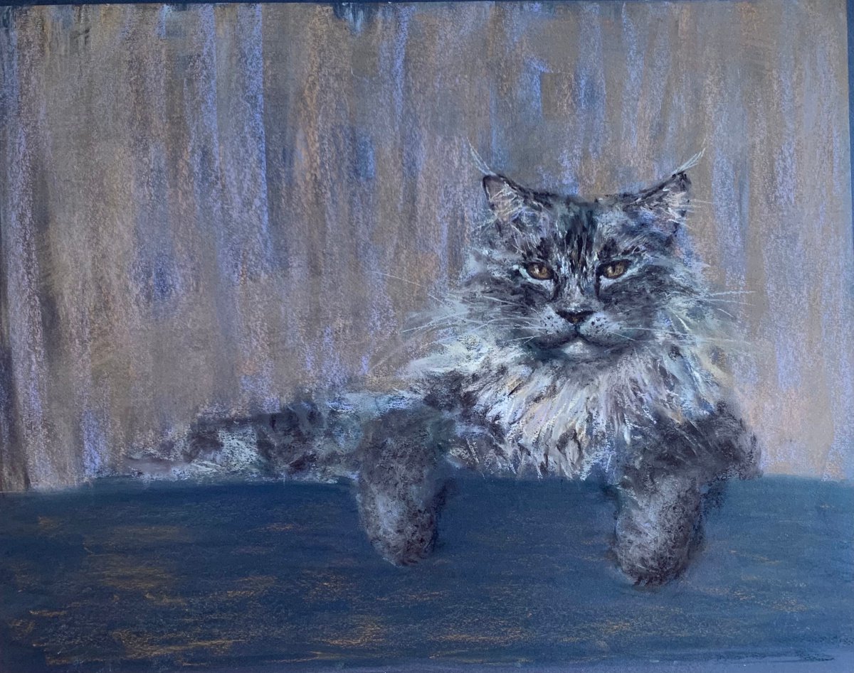 MAINE COON - Pastel drawing on paper, original gift, blue color, pet, home interior, kitte... by Tatsiana Ilyina