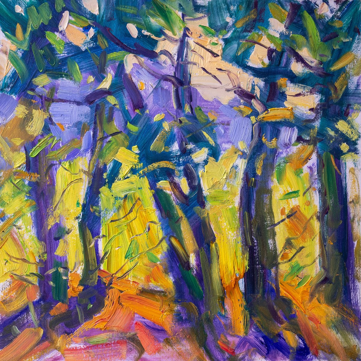 Impressionistic Landscape Oil Painting By Vasyl Moldavchuk, 12 X 12", Sunny Forest, Original Artwork