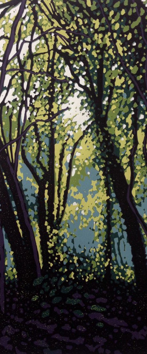 Woodland Haze by Alexandra Buckle