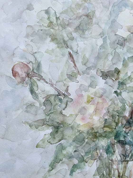 Peonies 50x65 cm 2025