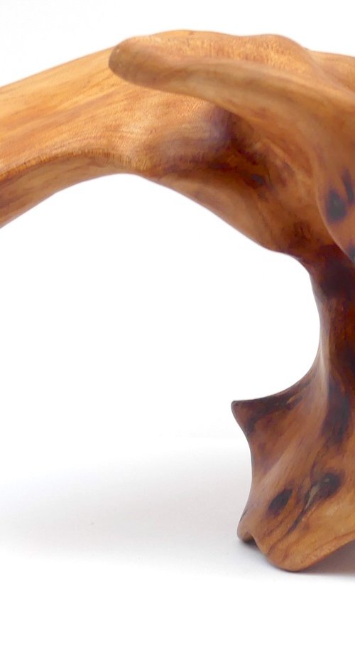 Cresting Barrel by J. Lane