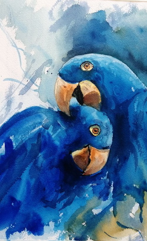 parrot 15 by Giorgio Gosti