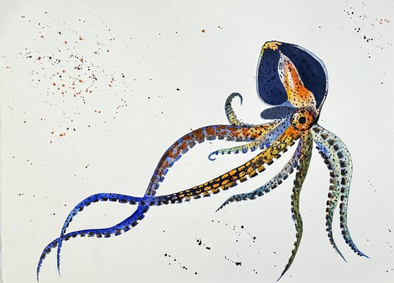 Octopus Polpo