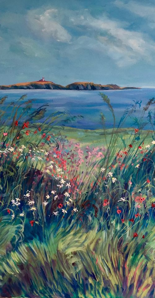 Isle of May from near Anstruther, Fife by Stephen Howard Harrison