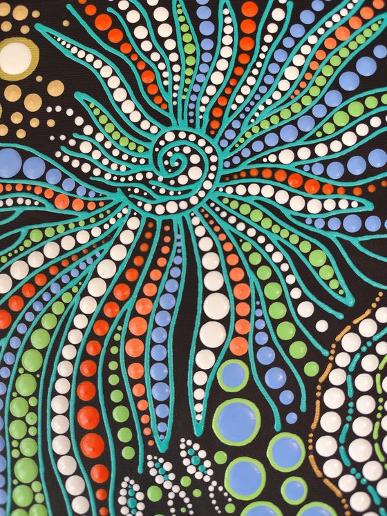 Ammonite Shell