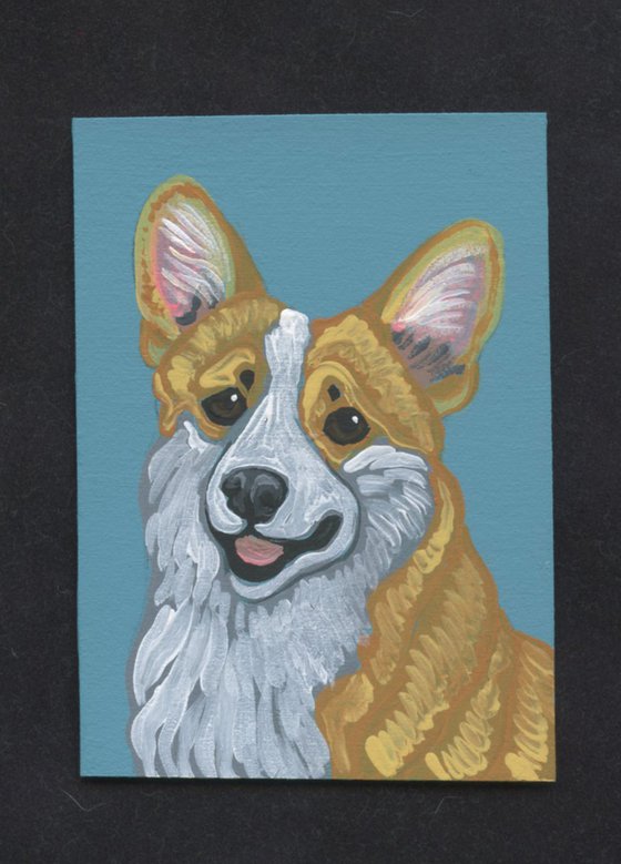 Pembroke Corgi