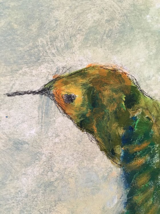 Study of hummingbird V b